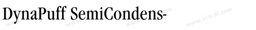 DynaPuff SemiCondens字体转换